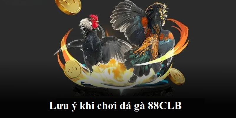 Những điều cần biết khi chơi đá gà 88CLB dành cho hội viên